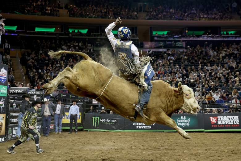 bull rider