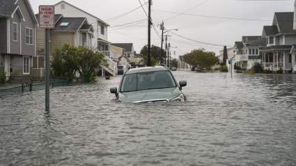 Australian News Reporter Rescues Man Trapped in Sinking Car While Covering Flood