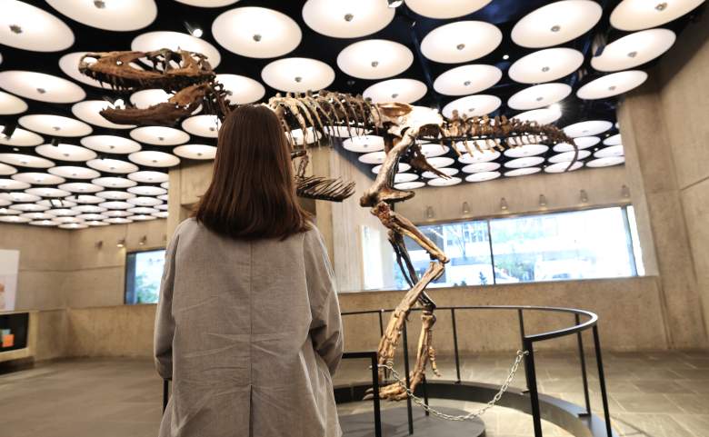 Nanotyrannus