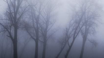 Massive Chemical Leak Turns Ohio Suburbs Into Real-Life ‘Silent Hill’